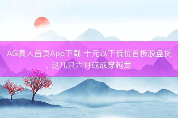 AG真人首页App下载 十元以下低位首板股盘货， 这几只六月或成穿越龙