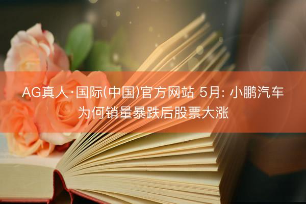 AG真人·国际(中国)官方网站 5月: 小鹏汽车为何销量暴跌后股票大涨