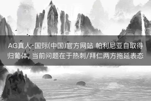 AG真人·国际(中国)官方网站 帕利尼亚自取得归葡体, 当前问题在于热刺/拜仁两方拖延表态