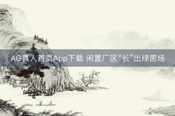 AG真人首页App下载 闲置厂区“长”出绿茵场